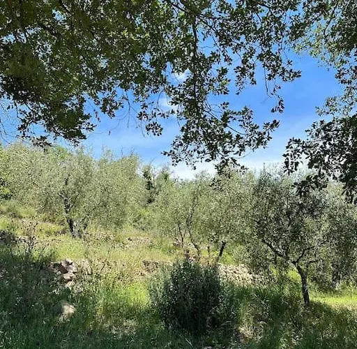 Beautiful Ligurian House With Pool Villa Viani