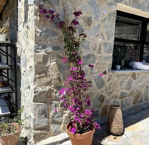 Beautiful Ligurian House With Pool Villa *