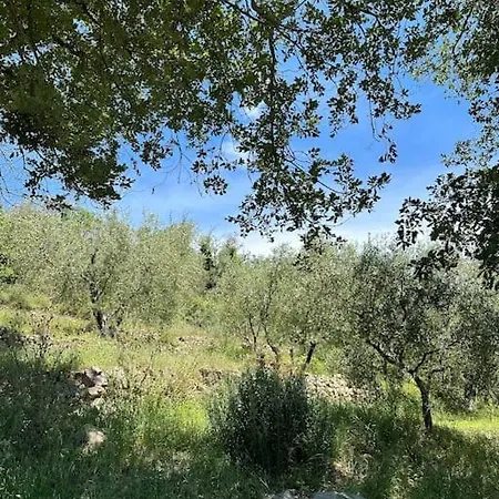 Beautiful Ligurian House With Pool Villa Viani