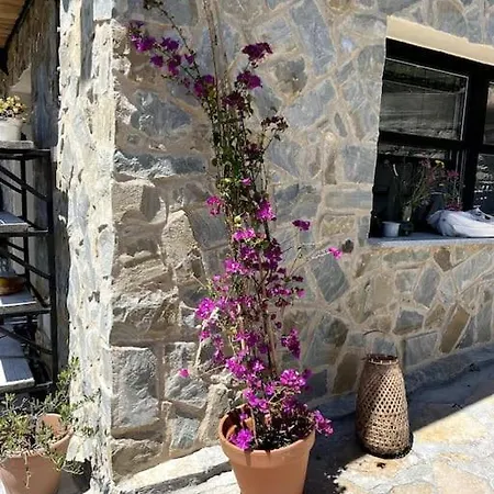 Beautiful Ligurian House With Pool Villa *